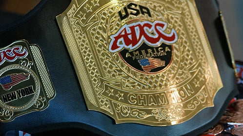 brazilian jiu jitsu bjj success